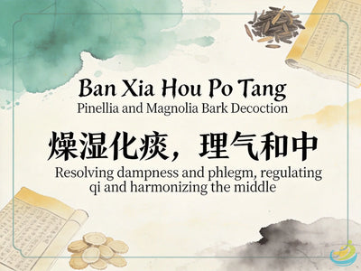 Ban Xia Hou Po Tang: Classic TCM Formula for Plum-Pit Qi, Throat Discomfort & Qi Stagnation with Phlegm HJMEDICAL
