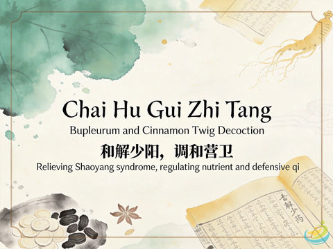 Chai Hu Gui Zhi Tang: Classic TCM Formula for Combined Taiyang & Shaoyang Disorder HJMEDICAL