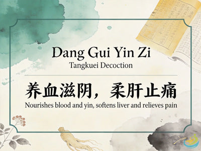 Dang Gui Yin Zi: Classic TCM Formula for Blood Deficiency with Wind, Itchy Skin & Dry Rash HJMEDICAL