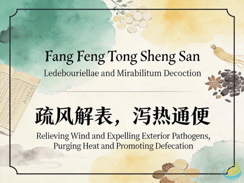 Fang Feng Tong Sheng San: Classic TCM Formula for Exterior Wind-Heat with Interior Excess HJMEDICAL