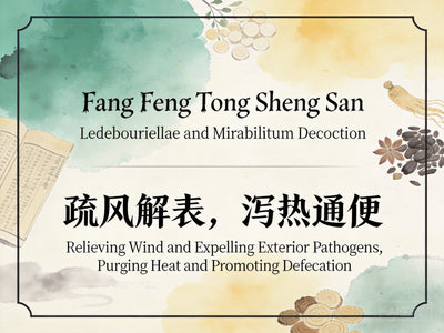 Fang Feng Tong Sheng San