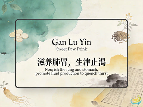 Gan Lu Yin: Classic TCM Formula for Yin Deficiency with Damp-Heat, Mouth Sores & Gum Swelling HJMEDICAL