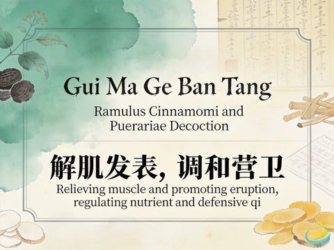 Gui Ma Ge Ban Tang: Classic TCM Formula for Mild Exterior Wind-Cold with Slight Sweating HJMEDICAL