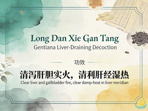 Long Dan Xie Gan Tang: Classic TCM Formula for Liver-Gallbladder Damp-Heat, Irritability & Hypochondriac Pain HJMEDICAL