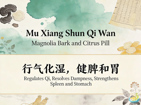 Mu Xiang Shun Qi Wan: Classic TCM Formula for Qi Stagnation, Bloating, Belching & Digestive Discomfort HJMEDICAL
