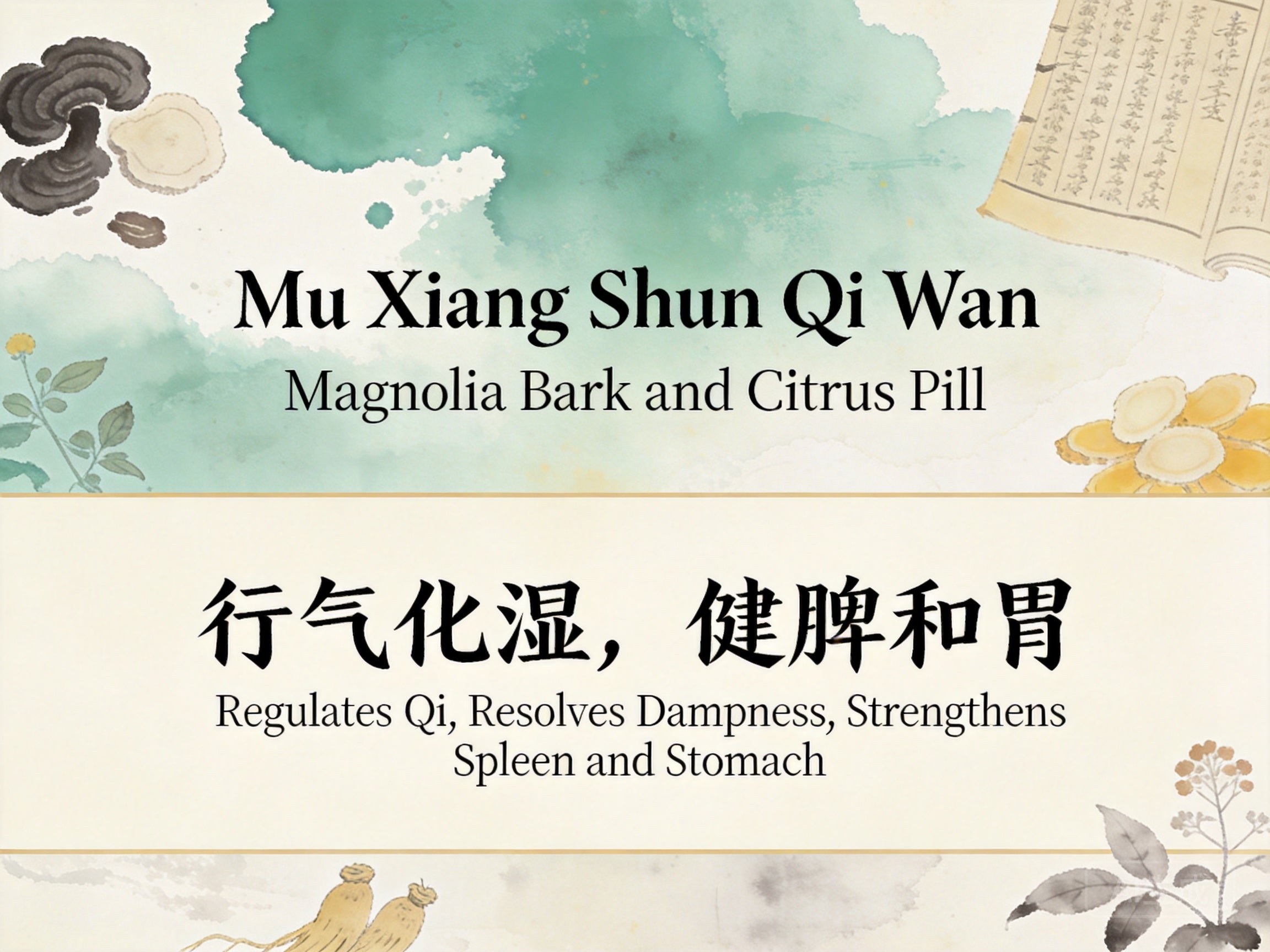 Mu Xiang Shun Qi Wan