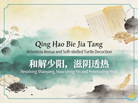 Qing Hao Bie Jia Tang: Classic TCM Formula for Residual Heat in Yin, Night Fever & Morning Coolness HJMEDICAL