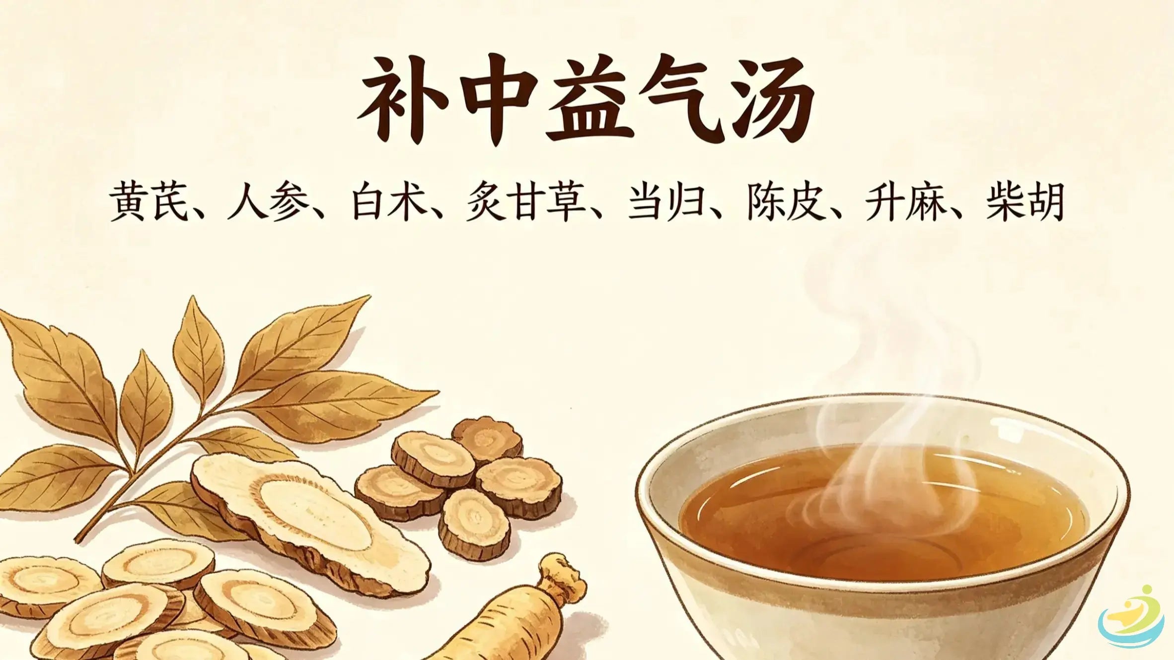 Bu Zhong Yi Qi Tang: The Classic TCM Formula for Spleen Qi Deficiency, Middle Qi Sinking and Deficiency-Fever HJMEDICAL