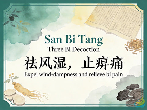 San Bi Tang: Classic TCM Formula for Wind-Cold-Damp Bi Syndrome with Qi & Blood Deficiency HJMEDICAL
