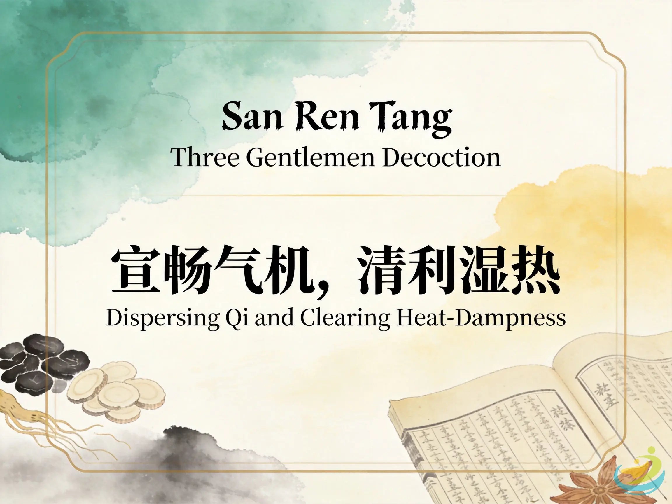 San Ren Tang: Classic TCM Formula for Early-Stage Damp-Heat, Headache & Heavy Body HJMEDICAL