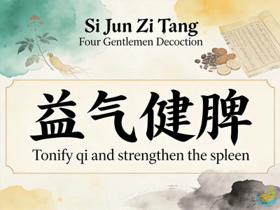 Si Jun Zi Tang (Four Gentlemen Decoction): TCM Formula for Digestion and Fatigue HJMEDICAL