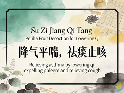 Su Zi Jiang Qi Tang: Classic TCM Formula for Rebellious Qi, Wheezing, Cough & Phlegm-Cold HJMEDICAL
