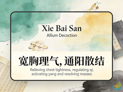 Xie Bai San: Classic TCM Formula for Lung Heat, Cough, Wheezing & Steaming Heat in the Skin HJMEDICAL