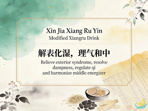 Xin Jia Xiang Ru Yin: Classic TCM Formula for Summer-Heat with Exterior Cold, Dampness & Thirst HJMEDICAL