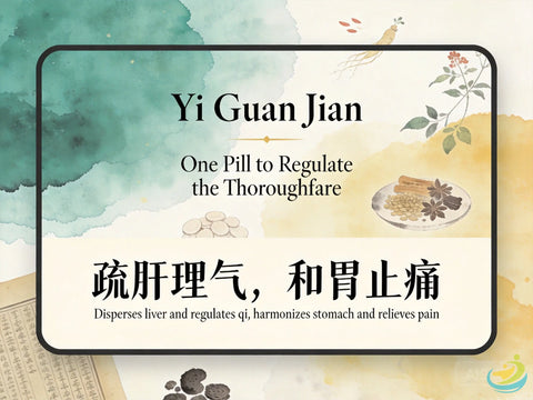 Yi Guan Jian: Classic TCM Formula for Liver & Kidney Yin Deficiency with Qi Stagnation HJMEDICAL