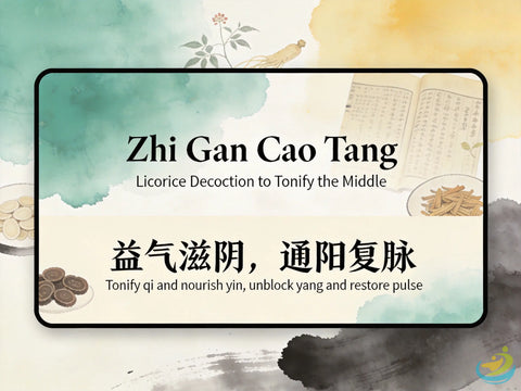Zhi Gan Cao Tang: Classic TCM Formula for Heart Qi & Blood Deficiency, Palpitations & Irregular Pulse HJMEDICAL