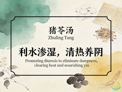 Zhu Ling Tang: Classic TCM Formula for Water Retention, Dysuria & Yin Deficiency with Heat HJMEDICAL