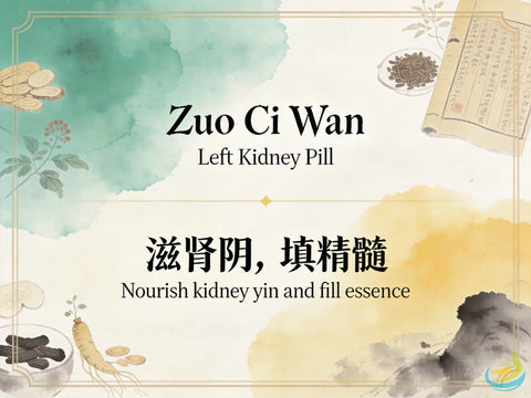 Zuo Ci Wan: Classic TCM Formula for Kidney Yin Deficiency, Tinnitus & Hearing Loss HJMEDICAL