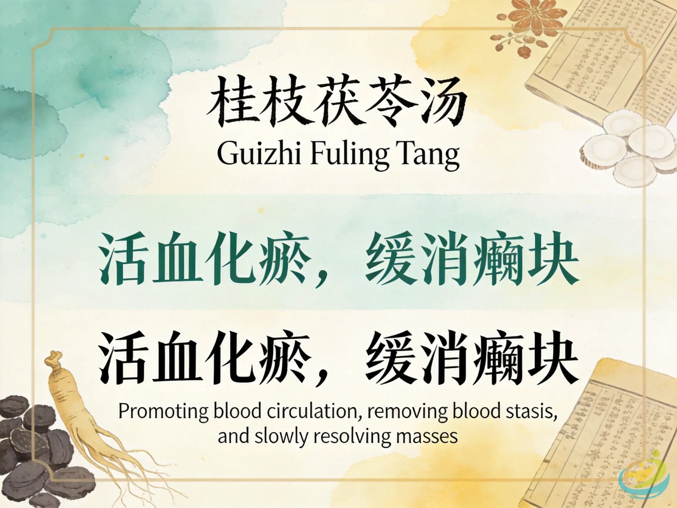 桂枝茯苓丸（桂枝茯苓汤）：活血化瘀消癥散结，改善子宫肌瘤与子宫腺肌症经痛 HJMEDICAL