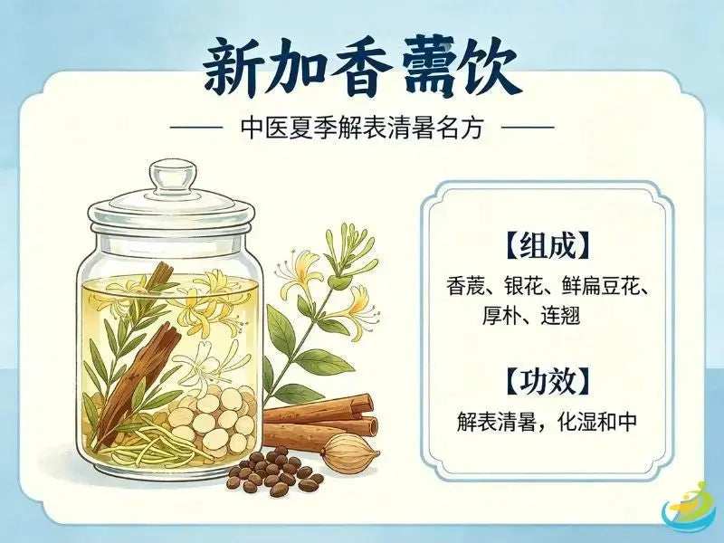新加香薷饮：祛暑解表清热化湿经典方 HJMEDICAL