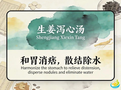 Sheng Jiang Xie Xin Tang: Classic TCM Formula for Stomach Deficiency with Mixed Cold and Heat HJMEDICAL
