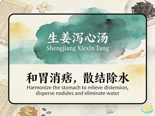 生姜泻心汤：和胃消痞散结止泻，改善胃食管反流与慢性腹泻不适 HJMEDICAL