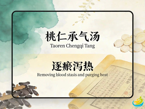 Tao He Cheng Qi Tang: TCM Formula for Blood Stasis and Heat Accumulation HJMEDICAL