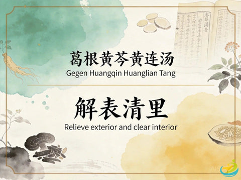 Ge Gen Huang Qin Huang Lian Tang: Kudzu, Scutellaria, and Coptis Decoction for Diarrhea Relief HJMEDICAL