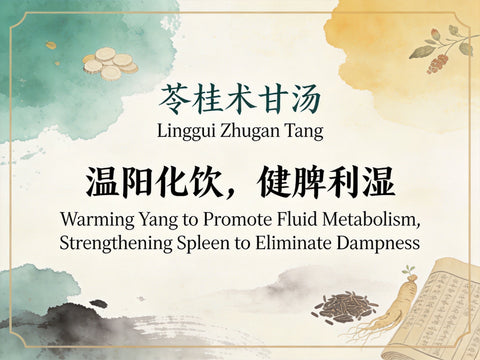 Ling Gui Zhu Gan Tang