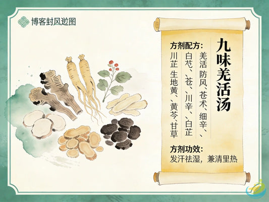 九味羌活汤：分经论治第一方，科学调理流感全身酸痛与恶寒发热 HJMEDICAL
