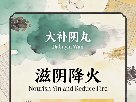 大补阴丸：滋阴降火培补肾阴，改善更年期潮热与甲状腺亢进不适