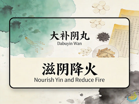 Da Bu Yin Wan: Classic TCM Formula for Yin Deficiency with Fire, Night Sweats & Steaming Bone HJMEDICAL