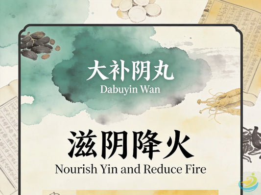 大补阴丸：滋阴降火培补肾阴，改善更年期潮热与甲状腺亢进不适 HJMEDICAL