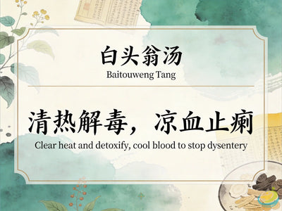 Bai Tou Weng Tang: Classic TCM Formula for Damp-Heat Dysentery & Hot Bloody Diarrhea HJMEDICAL