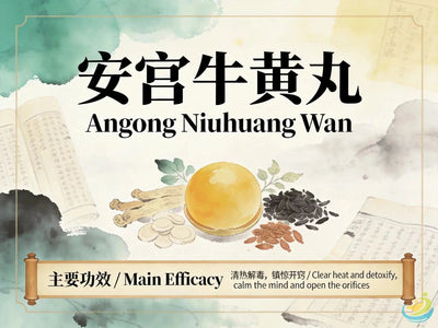 An Gong Niu Huang Wan: Classic TCM Emergency Formula for Heat Toxin Entering the Pericardium HJMEDICAL