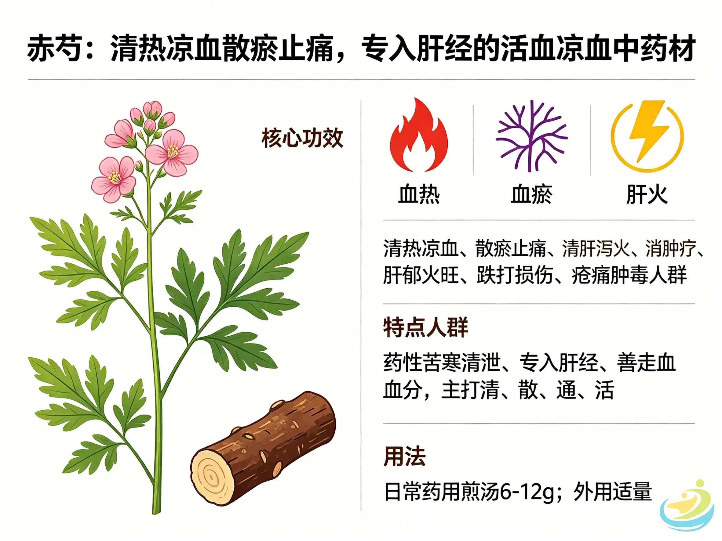 赤芍：清热凉血散瘀止痛，专入肝经的活血凉血中药材 HJMEDICAL