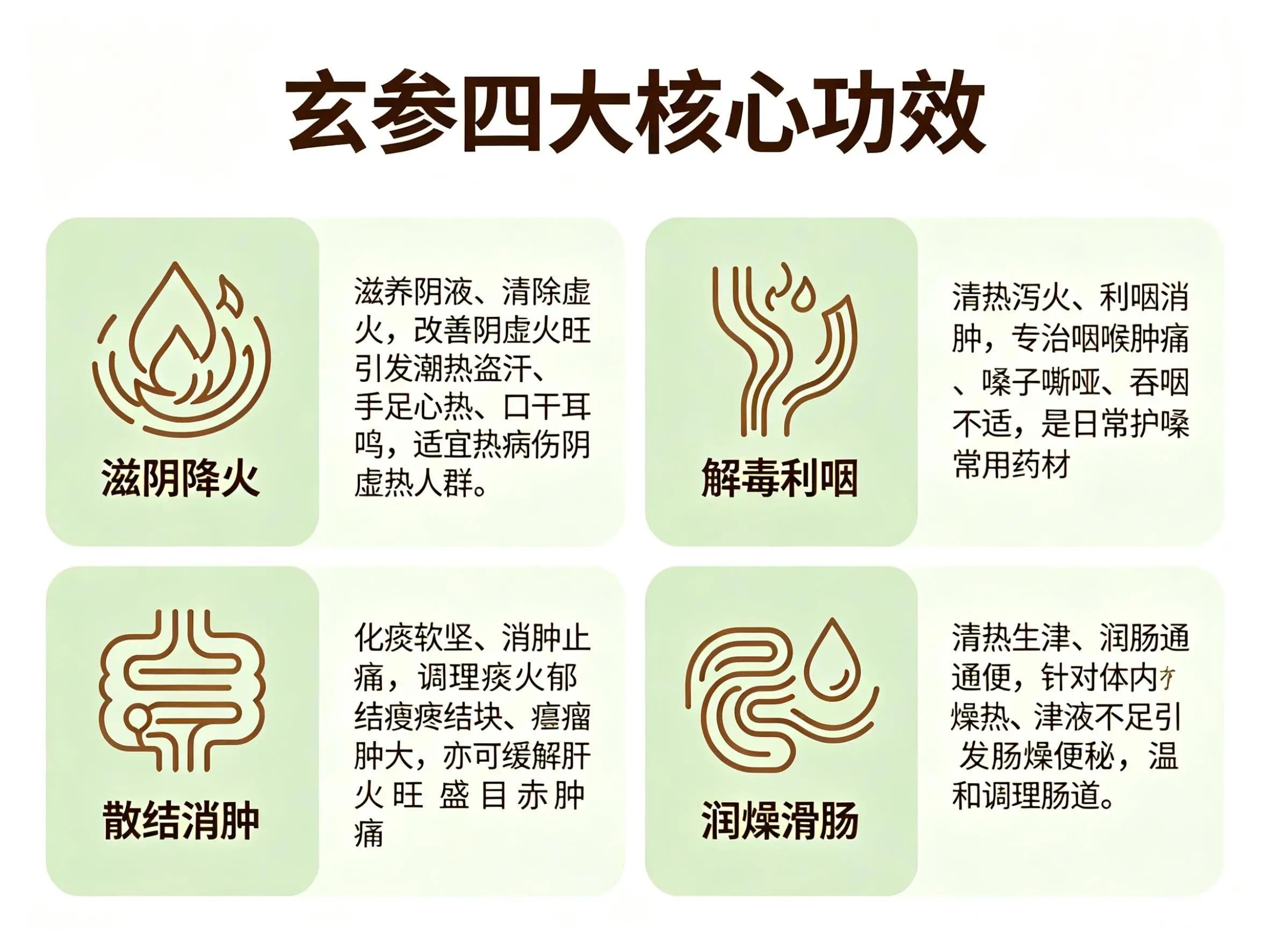 玄参：滋阴降火、解毒散结的清解良药，功效与用法全解析 HJMEDICAL