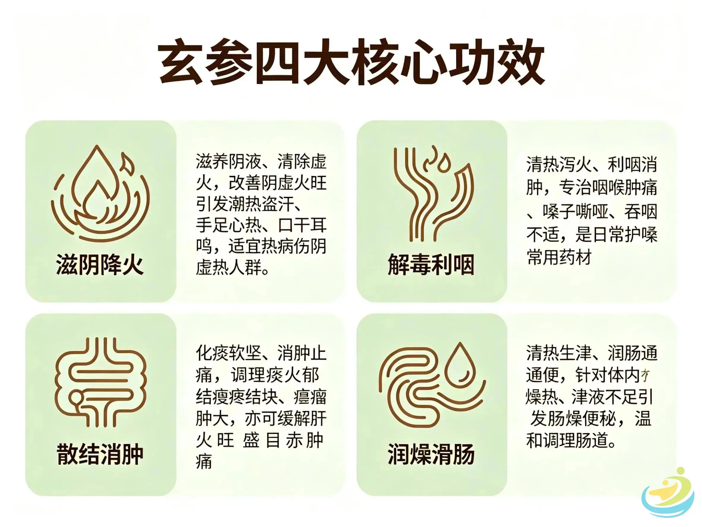 Xuan Shen: The Classic Herb for Nourishing Yin, Descending Fire and Scattering Stagnation HJMEDICAL