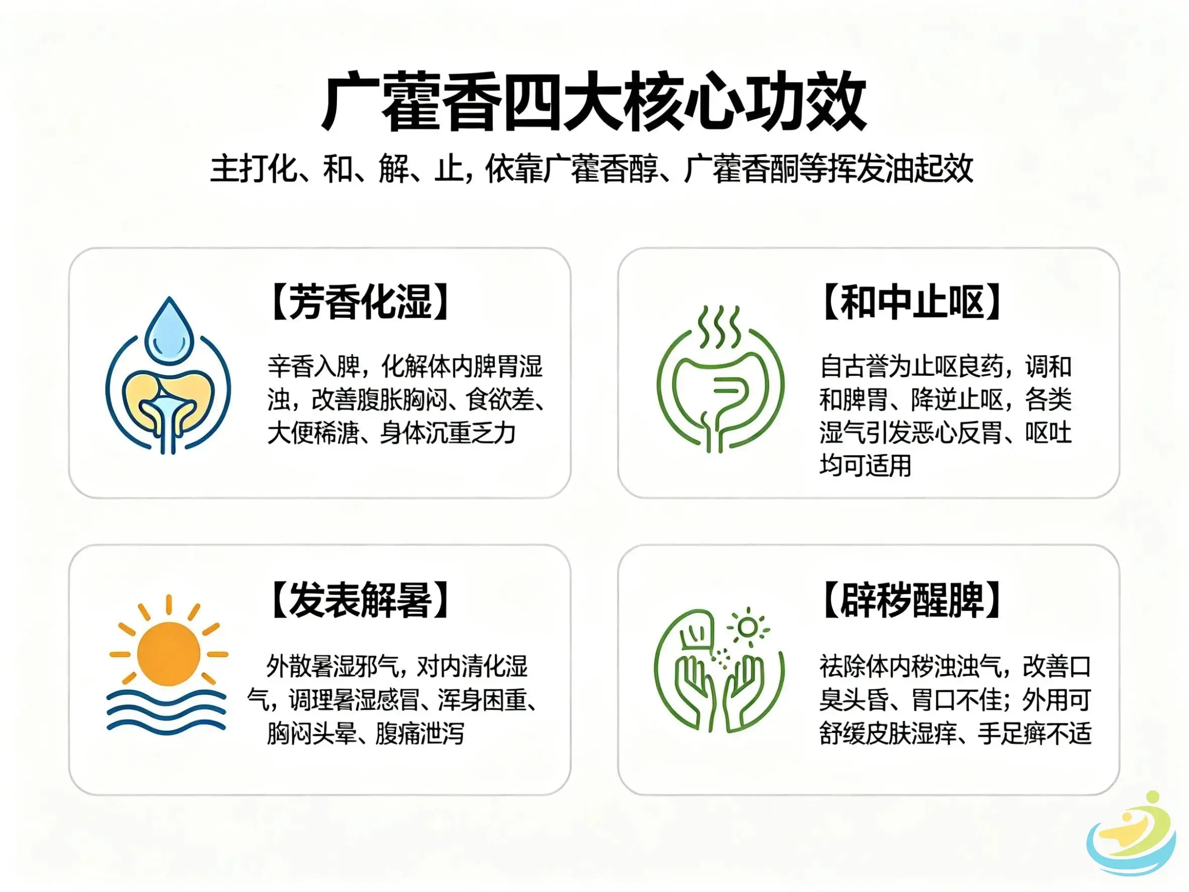 广藿香｜芳香化湿解暑 止呕辟秽 功效配伍与禁忌全解 HJMEDICAL