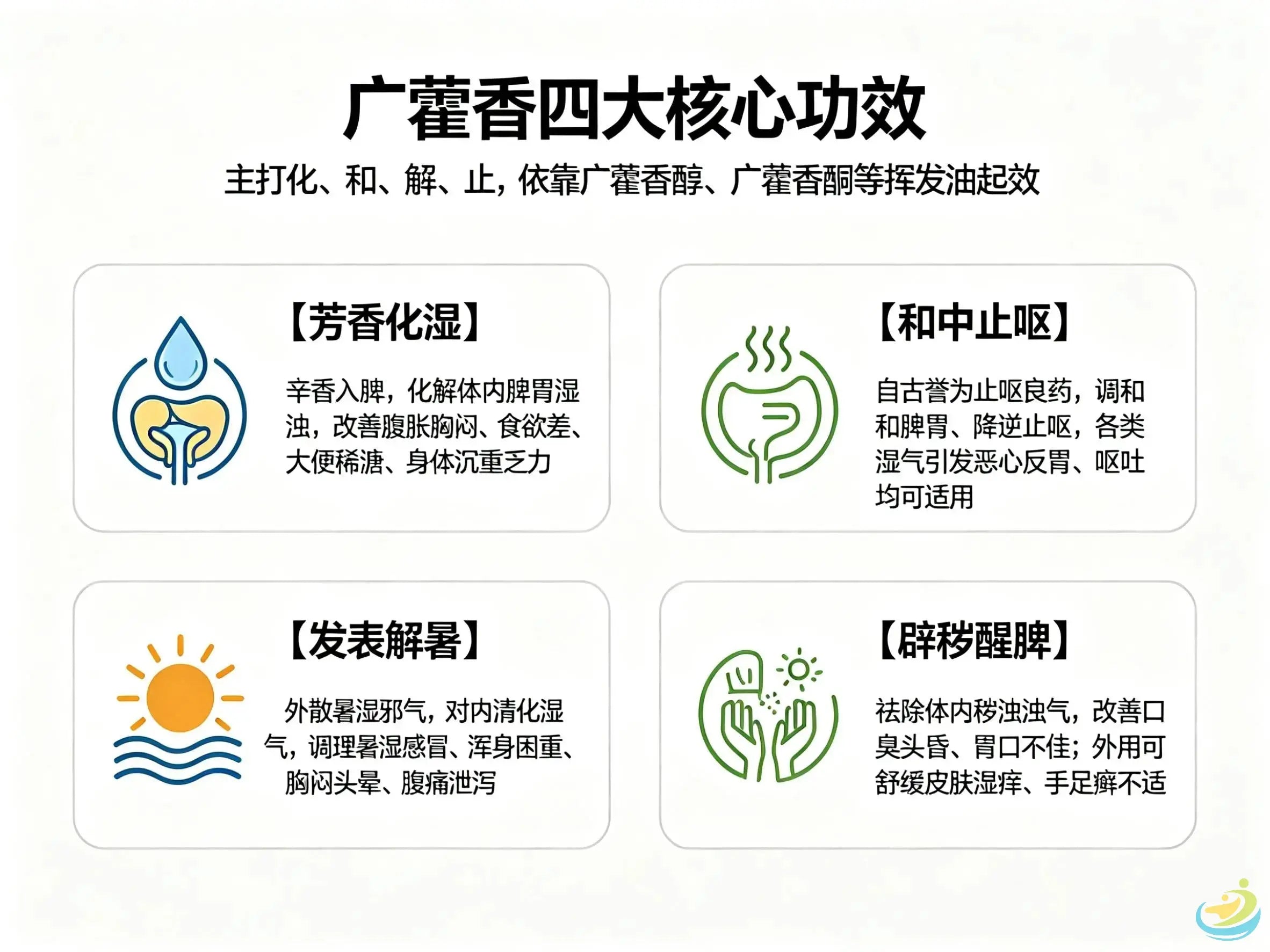 Guang Huo Xiang (Patchouli): The Premier Aromatic Herb for Resolving Damp, Stopping Vomiting and Dispelling Summer-Heat HJMEDICAL