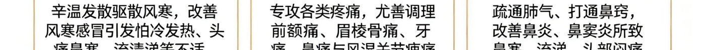 白芷：祛风止痛、通鼻窍的“辛香良药”，功效用法全解析 HJMEDICAL