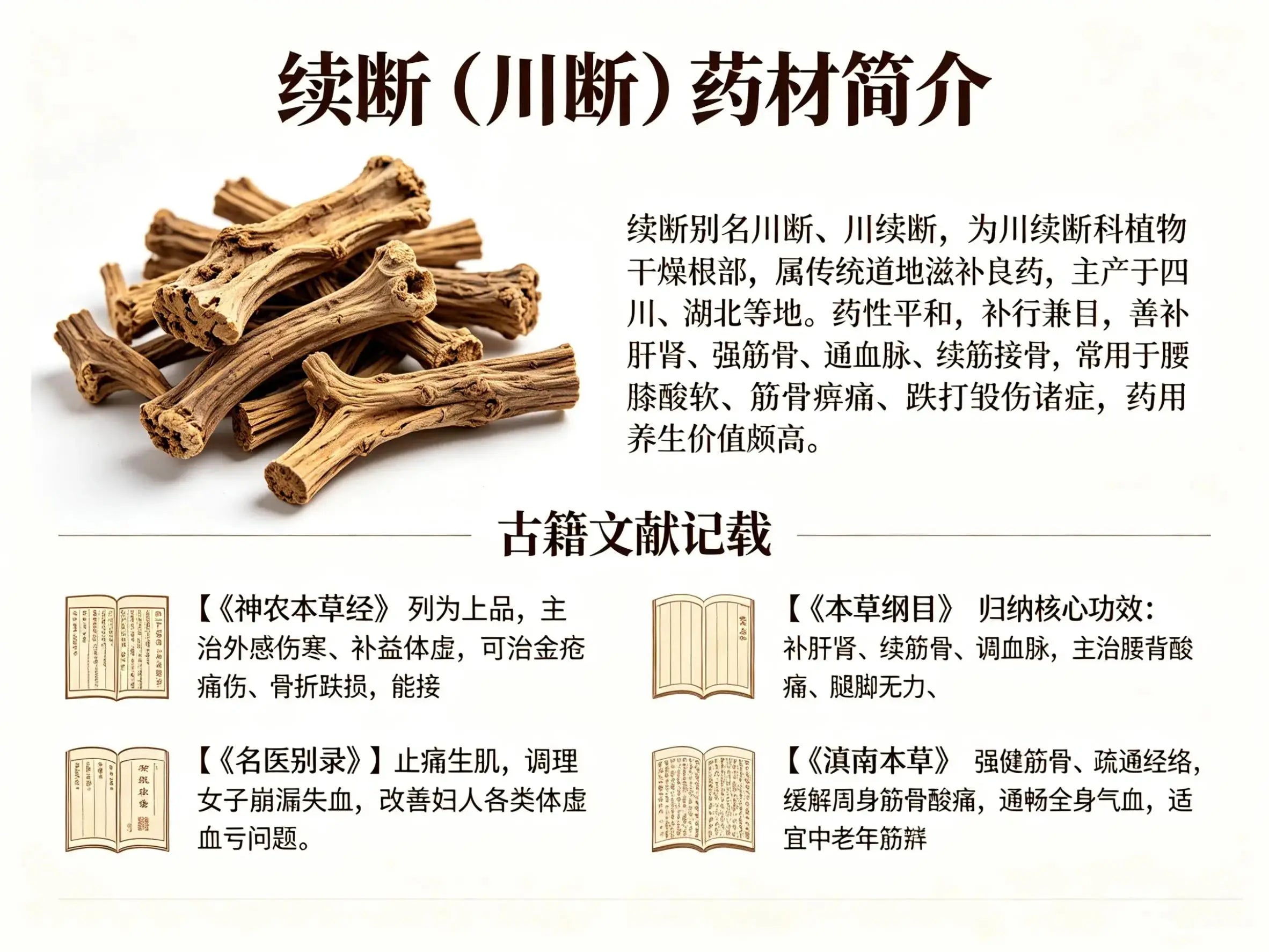 续断：补肝肾强筋骨、续折疗伤的经典滋补中药材 HJMEDICAL