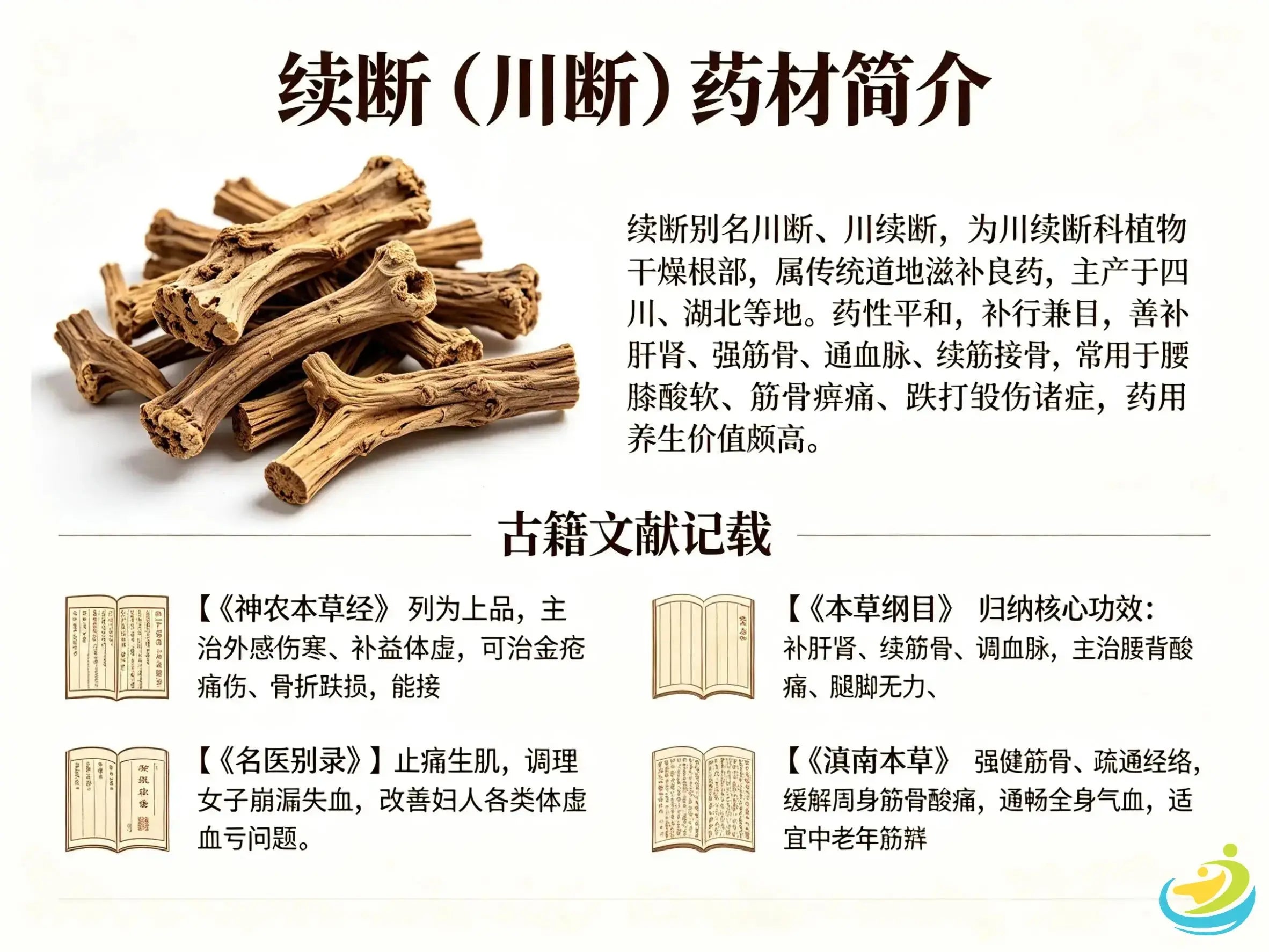 Xu Duan (Dipsacus): The Classic Herb for Supplementing Liver-Kidney, Mending Fractures and Healing Injuries HJMEDICAL