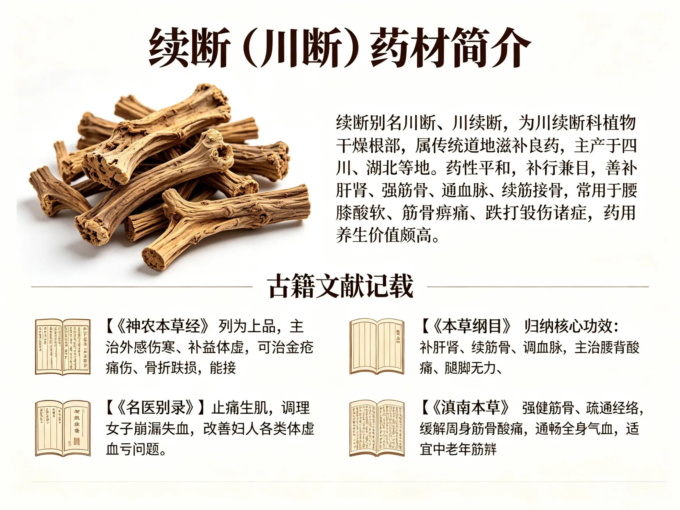 续断：补肝肾强筋骨、续折疗伤的经典滋补中药材 HJMEDICAL