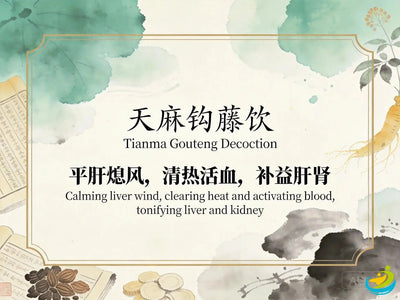 Tian Ma Gou Teng Yin: Traditional Chinese Formula for Liver Yang Rising and Headaches HJMEDICAL