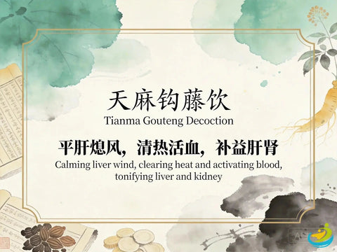 Tian Ma Gou Teng Yin: Traditional Chinese Formula for Liver Yang Rising and Headaches HJMEDICAL