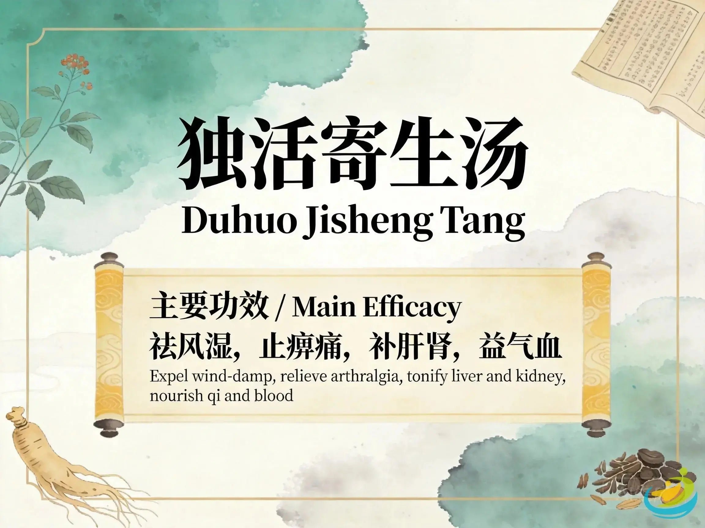 Du Huo Ji Sheng Tang: Classic TCM Formula for Chronic Bi Syndrome with Liver and Kidney Deficiency HJMEDICAL