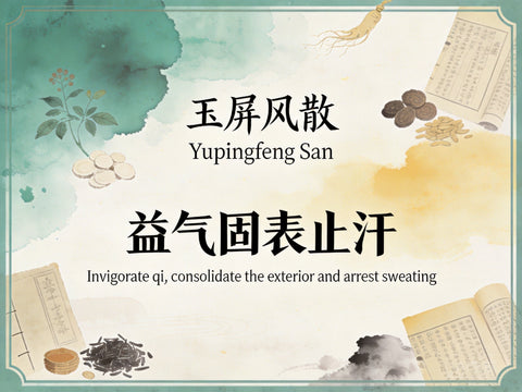 Huang Lian Jie Du Tang: Classic TCM Formula for Fire Toxin, High Fever & Damp-Heat