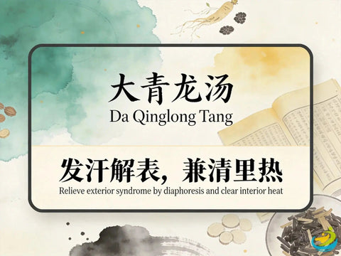 Da Qing Long Tang: Traditional Chinese Formula for Exterior Cold with Interior Heat HJMEDICAL