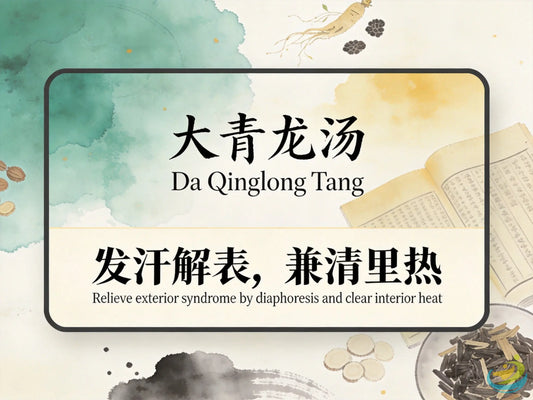 大青龙汤：发汗解表清热，缓解流感与急性支气管炎高热不退 HJMEDICAL